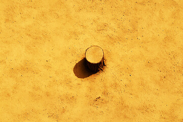 A lone tree stump casts a shadow on a vast expanse of dry, sandy ground from a top-down perspective. Concept of deforestation, solitude, barrenness, perspective, natural texture.