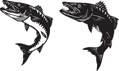 Fototapeta premium Two aggressive barracuda fish silhouette