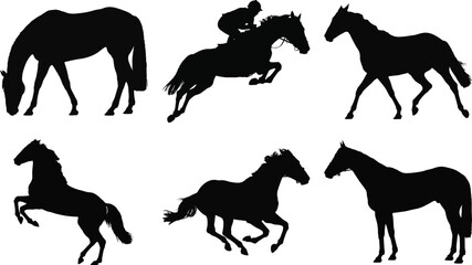 Horse silhouette vector set featuring various poses including running, jumping, grazing, and standing, perfect for equestrian design.