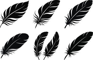 Feather silhouette vector set featuring a variety of feather shapes and styles, ideal for creative, natural, and artistic designs.