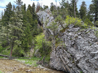 A jagged rock formation juts out beside a crystal-clear mountain stream, surrounded by dense...