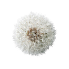 A close-up, overhead view of a dandelion seed head.  Fluffy, white seeds radiate outward from a central, brownish-gray core.  Sharp focus