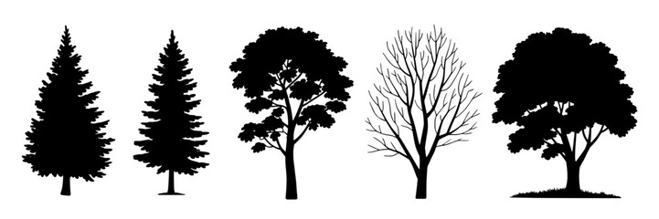 Fototapeta premium Set of five monochrome tree silhouettes: two pine trees, deciduous tree, bare tree, and leafy tree with grass. Black vector illustrations of different tree shapes for nature, landscape, and forest des