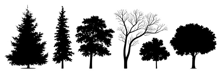 Obraz premium Set of six black silhouette vector illustrations of various tree types including fir, pine, deciduous, bare, and leafy trees on white background. Design elements for nature, forest, or landscape theme