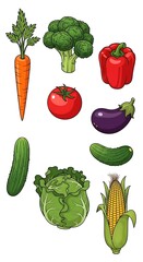 Colorful illustration of various fresh vegetables.