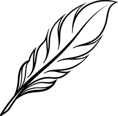 Obraz premium Feather quill ink drawing graphic simple vector line art illustration
