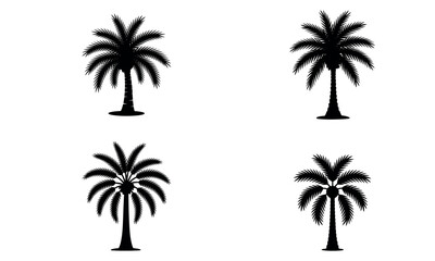 Fototapeta premium Silhouettes of tropical palm trees for nature, summer, and beach themed designs 