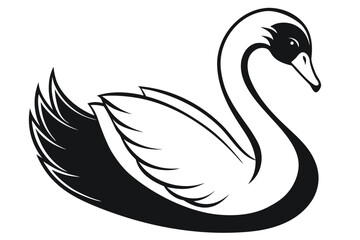 Elegant Swan in Black and White with Curvy Neck on White
