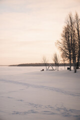 winter landscape with trees and snow