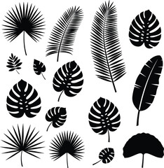 PrintTropical leaf silhouettes, exotic foliage collection, black and white vector, botanical elements, nature design, decorative plant shapes, garden theme, minimalist style, art illustration