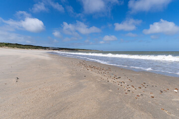 Brouwers beach near Renesse in Zeeland, Netherlands