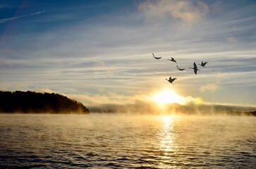 In flight