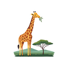 Obraz premium (African Giraffe Eating Green Leaves. Illustrative design featuring a long necked mammal enjoying foliage in its natural habitat, symbolizing the wild beauty and vibrant ecosystems of the savanna.)