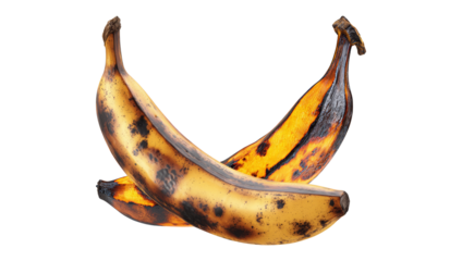 Overripe Bananas Duo Decaying Fruit on Clear Background Unappetizing Food Waste Concept Spoiled Produce Brown Spots and Soft Texture Imperfect