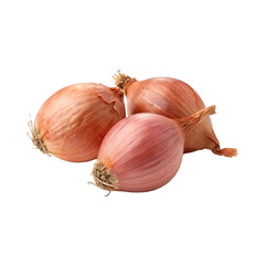 onions on white background