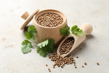 Coriander seeds and fresh cilantro sprigs on light textured table, closeup
