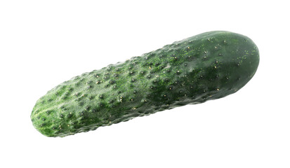 One fresh green cucumber isolated on white