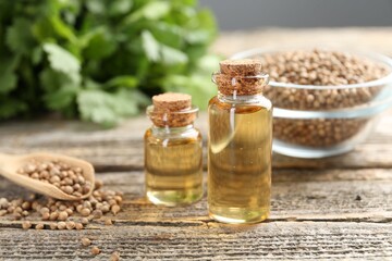 Coriander essential oil in bottles, seeds and cilantro leaves on wooden table, closeup