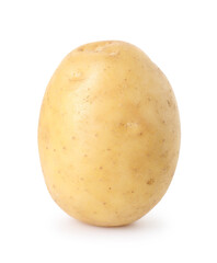 One fresh raw potato isolated on white