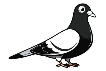Animated Black & White Pigeon on a White Background