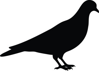 Dove Silhouette Standing Profile Isolated on White Background