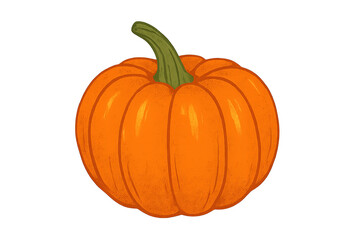 Vegetable pumpkin on transparent background