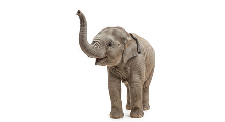 elephant isolated on white background