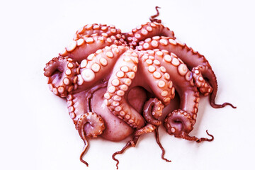 Whole octopus macro, detailed view tentacles, raw seafood, close-up texture, marine delicacy, exotic ingredient, suction cups pattern