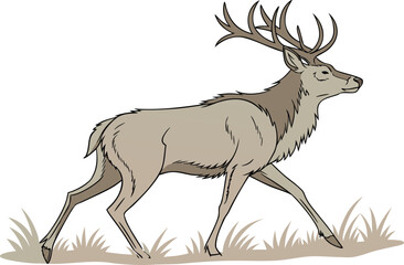 Buck Deer Illustration. Wild Deer with Antlers Design. Majestic Buck Deer Drawing. Forest Buck Deer Graphic. Wildlife Deer Animal Art. Standing Buck Deer Image. Male Deer Antler Artwork