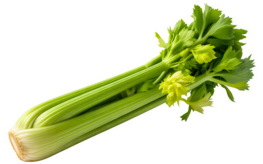 Obraz premium Fresh green celery stalk on a white background vegetable