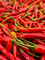 A close-up of chili peppers, their vibrant red skins glistening under the light.