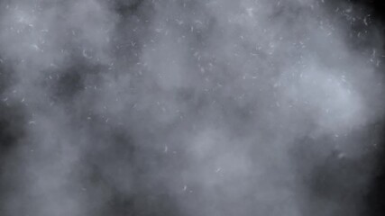 Black background with looping animation of floating white mist/smoke and delicate dandelion seeds. Creates magical atmospheric effect.