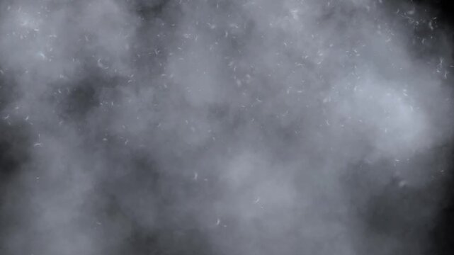 Black background with looping animation of floating white mist/smoke and delicate dandelion seeds. Creates magical atmospheric effect.