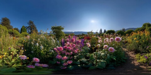 Fototapeta premium Vibrant flower garden hdr panorama nature