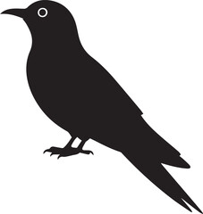 Fototapeta premium Vector illustration of a black crow silhouette on a white background with a beak and feather details