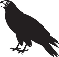 Obraz premium Black raven or crow vector silhouette illustration on a white background, featuring a flying bird with detailed feathers and a sharp beak