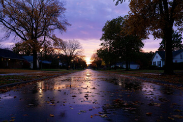 Wet Street with Fallen Leaves in Autumn
