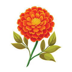 Vibrant orange flower with green leaves vector illustration yellow