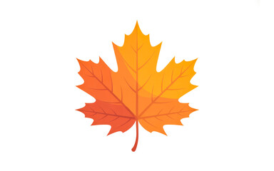 Fototapeta premium Orange and yellow maple leaf illustration on white