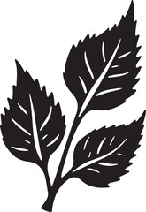 Silhouette of a Leafy Plant Branch