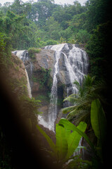 waterfall in the forest