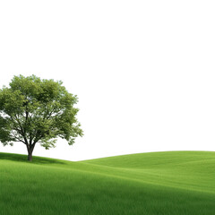 Fototapeta premium Green grass field with tree isolated on transparent background