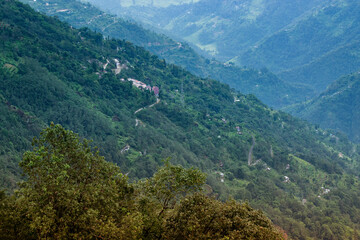 Fototapeta premium Scenic beauty of Green forests of Himalayan mountains, Okhrey, sikkim, India. Okhrey village is remote place in Sikkim where peaceful, tranquil Himalayan mountain range is enjoyed by tourists.