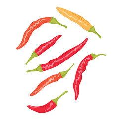 Red and yellow chili pepper or jalapeno drawing. Spicy mexican dish for sauce. Vector illustration of vegetable for stickers, menu, restaurants, flyers and banners.
