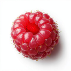 Fresh Raspberry Centered on Pure White