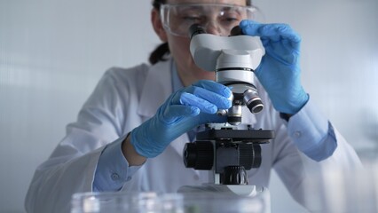 Woman scientist wearing lab coat, white protective gloves and glasses, is using microscope in...
