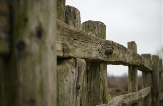 Rustic wooden stockade fence in a natural setting. Two vertical posts and two horizontal posts create a sense of depth and protection. Moss-covered wood adds an organic feel to the scene. - Powered by Adobe