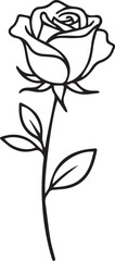 Elegant single rose flower with stem and leaves in a simple black and white line art style.
