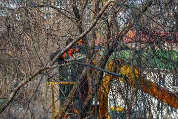 Municipal service workers stand with a chainsaw in a crane basket and trim dangerous trees