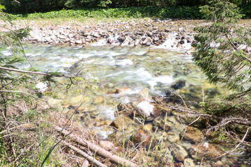 stream in the forest